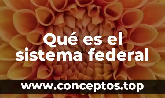 Que es una ley federal significado 6 Qué es el sistema federal