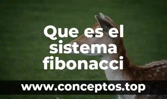 Que es el sistema fibonacci
