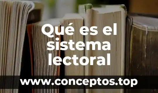 Shampoo sistema gb que es 6 Qué es el sistema lectoral