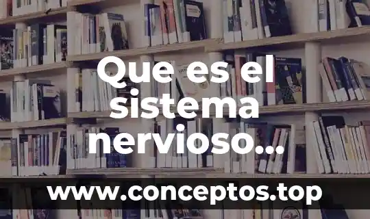 Que es el sistema nervioso para poner nombres 5 Que es el sistema nervioso central redalyc