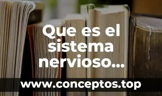 Que es el sistema nervioso para poner nombres 6 Que es el sistema nervioso explicado para niños
