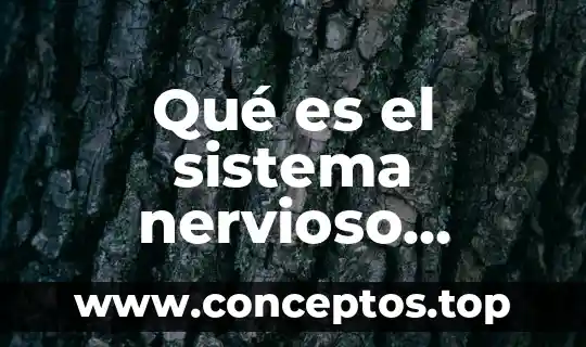Qué es el sistema nervioso pueden ser