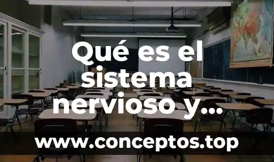 Que es el sistema nervioso para poner nombres 7 Qué es el sistema nervioso y quienes lo lo conforman