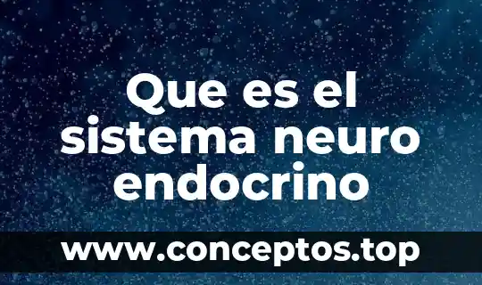 Que es el sistema neuro endocrino