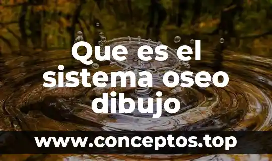 Que es el sistema oseo dibujo