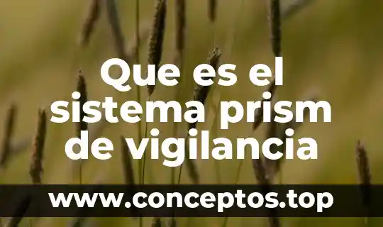 Shampoo sistema gb que es 4 Que es el sistema prism de vigilancia