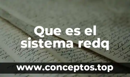 Que es el sistema redq