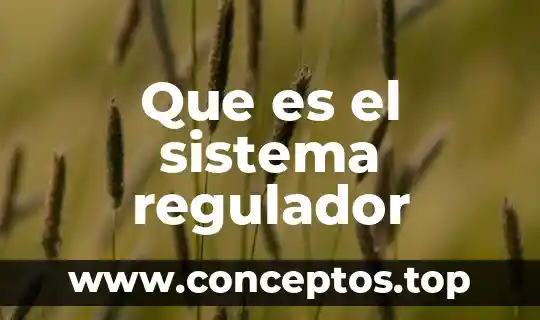 Que es el sistema regulador