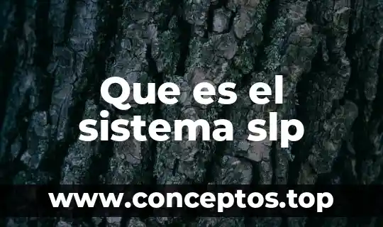 Que es el sistema slp