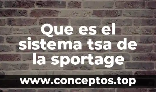 Shampoo sistema gb que es 8 Que es el sistema tsa de la sportage