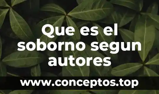 Que es el soborno segun autores