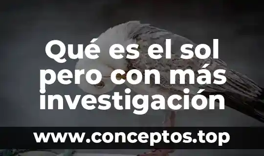 Qué es el sol pero con más investigación