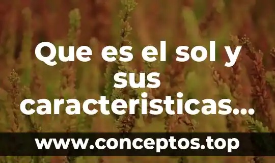 Que es el sol y sus caracteristicas sistema solar