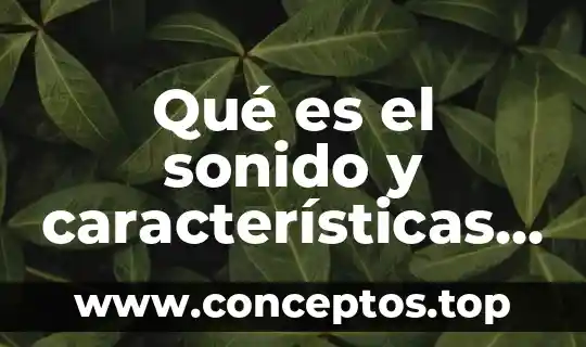 Qué es el sonido y características y cualidades