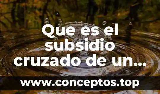 Que es el nombre del producto 4 Que es el subsidio cruzado de un producto