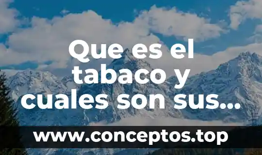 Que es el tabaco y cuales son sus componentes