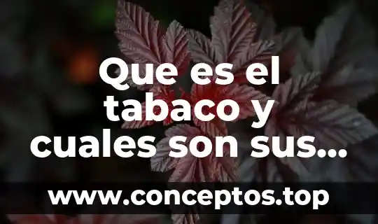 Que es el tabaco y cuales son sus repecuciones