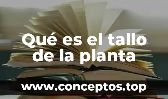Qué es el tallo de la planta