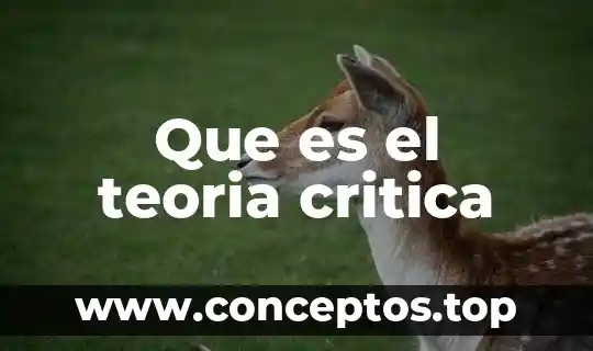 Que es el teoria critica