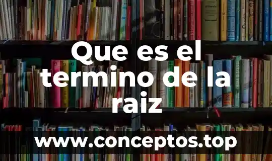 Que es el termino de la raiz