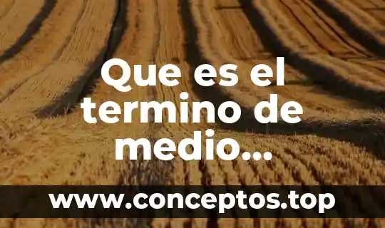 Que es un medio de comunicacipn 3 Que es el termino de medio ambiente