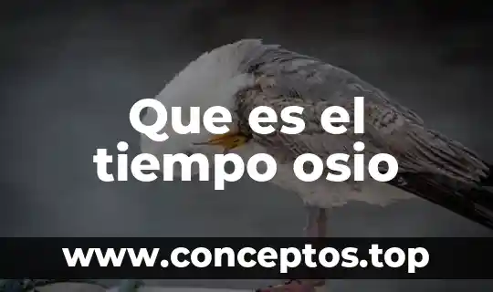 Que es el tiempo osio