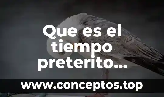 El tiempo pretérito perfecto compuesto 4 Que es el tiempo preterito pluscuamperfecto