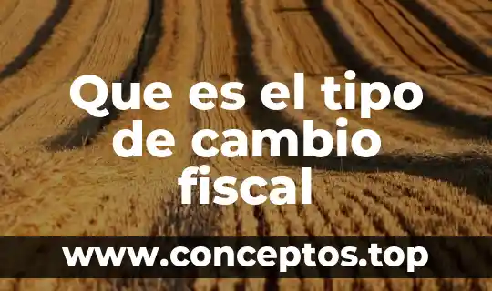 Que es el tipo de cambio fiscal