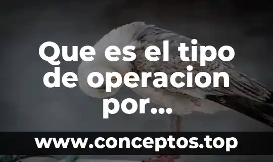 Que es el tipo de operacion por incorporacion