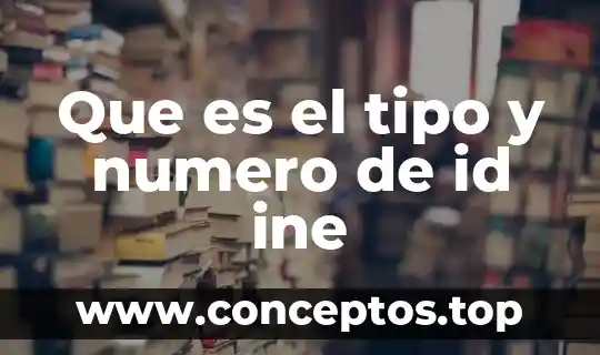 Que es el tipo y numero de id ine