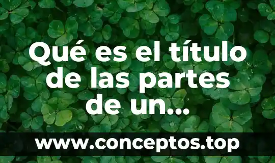 Qué es el título de las partes de un instructivo