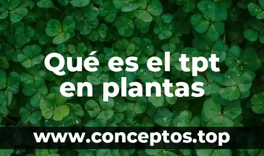 Para que es la oxitetraciclina en las plantas 8 Qu茅 es el tpt en plantas