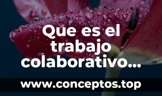 Que es el trabajo colaborativo en internet