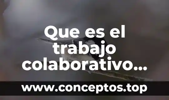 Qué es el trabajo colaborativo concepto 8 Que es el trabajo colaborativo para niños