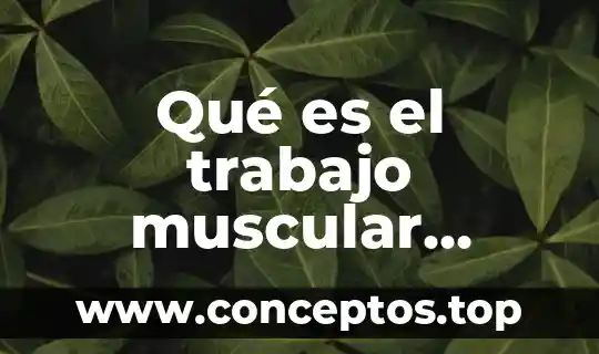Qué es el trabajo muscular dinámico