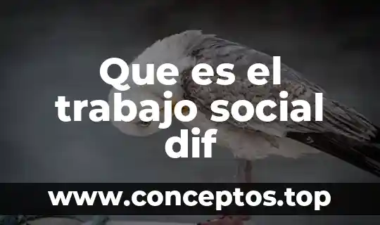 Que es la descripcion del trabajo de tesis 6 Que es el trabajo social dif