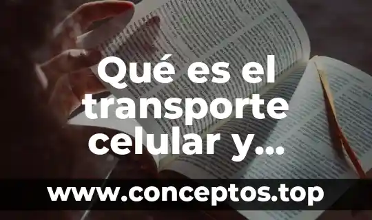Qué es el transporte celular y cuantos tipos hay