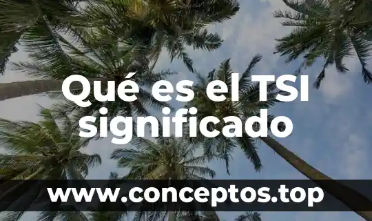 Que es suburbios significado 8 Qué es el TSI significado