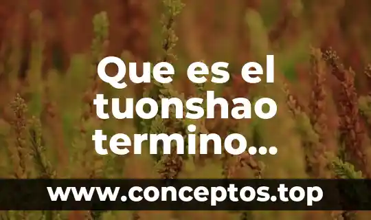 Que es el tuonshao termino oriental