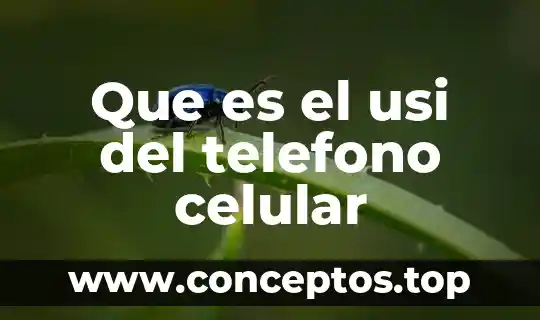 Que es el usi del telefono celular
