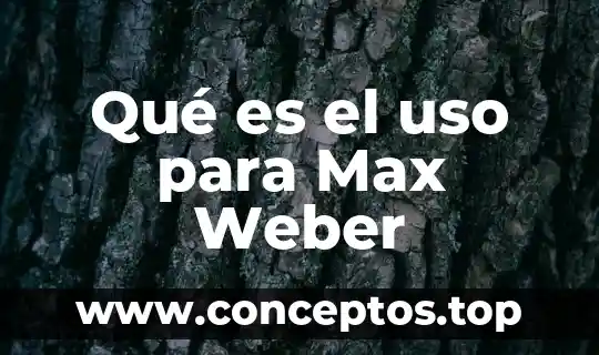 Qué es el uso para Max Weber