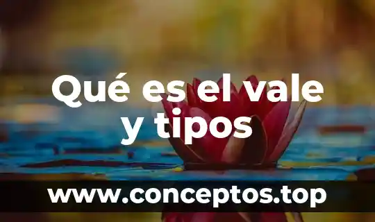 Qué es el vale y tipos