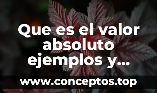 Absoluto que es significado y concepto 3 Que es el valor absoluto ejemplos y propiedades