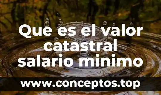 Que es el valor catastral salario minimo