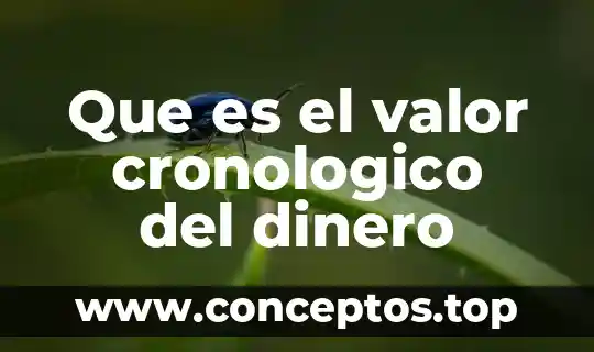 Que es el valor cronologico del dinero