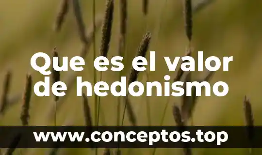 Que es hedonismo calculado 6 Que es el valor de hedonismo