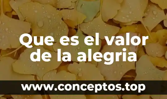 Que es el valor de la alegria