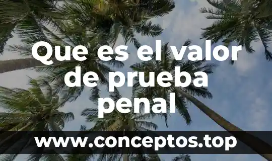 Que es el valor de prueba penal
