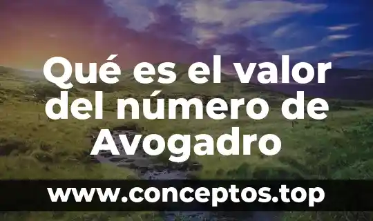 Que es y que se significa el numero de avogadro 6 Qué es el valor del número de Avogadro