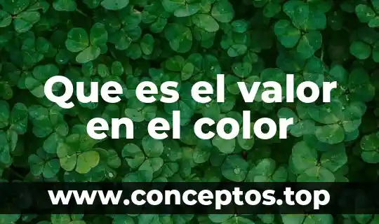 De que color pinto mi casa que es pequeña 6 Que es el valor en el color